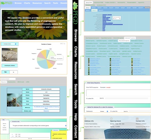 Overview of the PFGD with its main interfaces and internal features, including home, browse, charts, resources, search, tools, help, and contact interfaces.