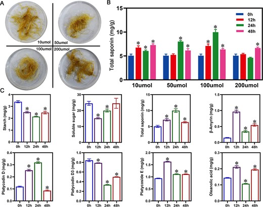 Changes in saponin content, saponin monomers, and intermediate synthesized products at different concentrations of MeJA. (A) Morphology of P. grandiflorus roots at four MeJA concentrations at 72 h. (B) Total saponin content at four MeJA concentrations. (C) Soluble sugars, starch, three saponin monomers, and intermediate products (β-amyrin and oleanolic acid) in P. grandiflorus roots treated with 100 μmol/l of MeJA.