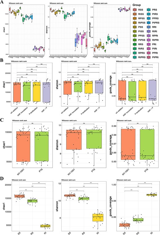 The boxplot of alpha diversity of root-associated bacterial community. A The Chao value, Shannon value and Good’s coverage of bacterial community of all groups. The first letter R and P represent the lower P-efficiency recipient soybean ‘NY-1001’ and higher P-efficiency soybean ‘PT6’. I and P in the middle represent AMF inoculation and P-fertilization, respectively. SS, RS, and Rt represent surrounding soils, rhizospheric soils, and intact roots, respectively. The boxplot of combined groups was mapped by using four different AMF inoculation and P-fertilization treatment groups (B), two different P-efficiencies of soybean groups (C) and three different sampling compartment groups (D), respectively. The left, middle and right panels are Chao index, Shannon index and coverage index, respectively. Significance codes: P < 0.05; **P < 0.01; and ***P < 0.001.