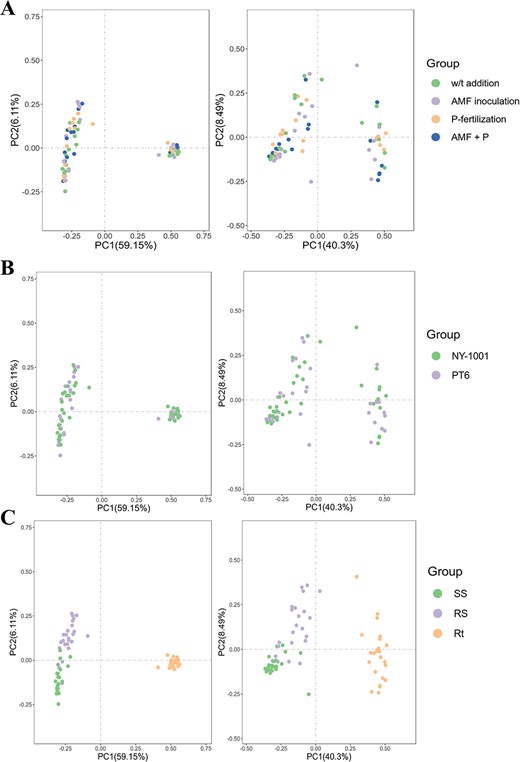 PCoA of microbial communities based on Bray–Curtis distance. A PCoA plots for four different AMF inoculation and P-fertilization treatment groups. B PCoA plots for two different P-efficiencies of soybean groups. C PCoA plots for three different sampling compartment groups. The left panel is PCoA of bacterial community while the right panel is PCoA of fungal community. ‘W/t addition’ and ‘AMF + P’ represent ‘no P-fertilization or AMF inoculation’ and ‘AMF inoculation with P-fertilization’, respectively. NY-1001 and PT6 represent the lower P-efficiency recipient soybean ‘NY-1001’ and higher P-efficiency soybean ‘PT6’. SS, RS, and Rt represent surrounding soils, rhizospheric soils, and intact roots, respectively.