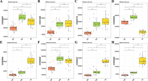 The relative abundance of COG function classification which was directly related to nitrogen-fixation and phosphorus cycle, was mapped by using three different sampling compartment groups. The five nitrogen-fixation COGs from (A) to (E) were described as nitrogen regulatory protein PII (A), nitrogenase subunit NifH (ATPase) (B), nitrogenase molybdenum-iron protein, alpha and beta chains (C), signal transduction histidine kinase involved in nitrogen fixation and metabolism regulation (D), and nitrogen fixation protein (E), respectively. The three COGs directly related to soil phosphorus cycle were described as predicted phosphatases (F), predicted phosphatase (G) and metal-dependent hydrolase involved in phosphonate metabolism (H), respectively.