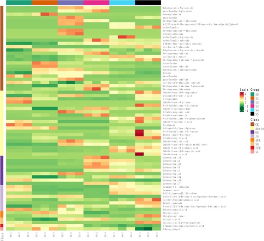 Metabolome of major plant hormones. The analysis was performed using UHLC. A total of 69 hormone-related metabolites were identified.