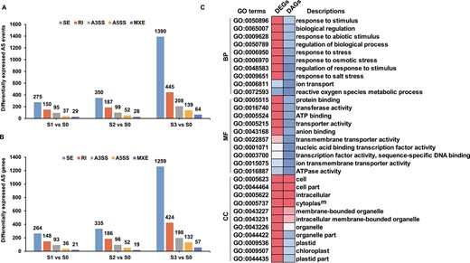 Comparative analysis of DEGs and DAGs in response to salt stress. A Differential AS events in salt-treated compared with control plants. B Differentially expressed AS genes in salt-treated compared with control plants. C Functional enrichment examination of DEGs and DAGs. The heat map displays the enrichment factors of significantly enriched (P < 0.05) GO terms.