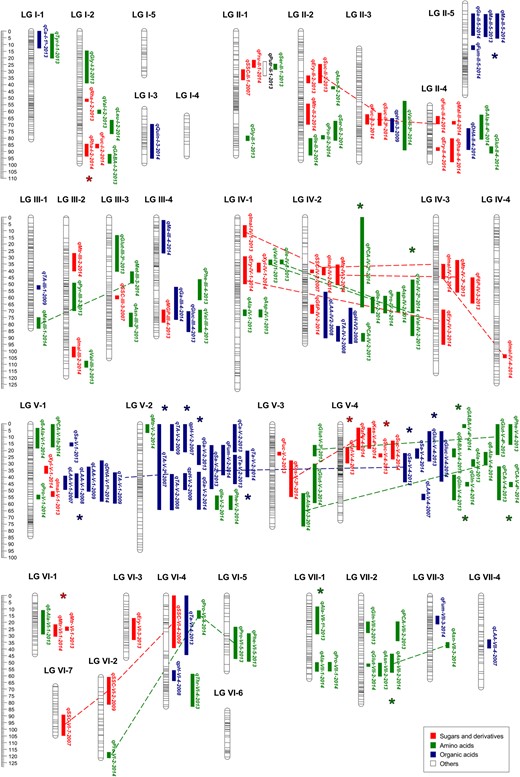 2-LOD QTL intervals are drawn at the right of each linkage group. Names of mQTL as described in Supplementary Table 3. Stable QTL, detected in different years, are highlighted with asterisks. Putative homoeo-QTL are joined by discontinued lines