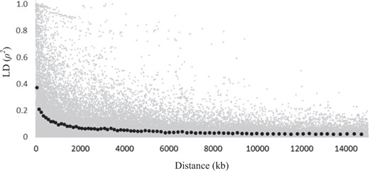 Linkage disequilibrium (LD) by physical distance (kb) for individual loci (grey dots) and averaged for each set of 1000 SNP pairs ranked according to the distance between SNPs (black dots)