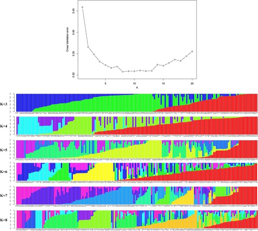 Top: Cross-validation plot for the SNP dataset. Bottom: Bar plots for K = 3–8. Each plot was created from 179 genotypes and is ordered by q values; each genotype is represented by a single vertical line, and each color represents one cluster