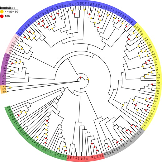 Operational taxonomic units (OTUs) are colored for different clusters according to the topology