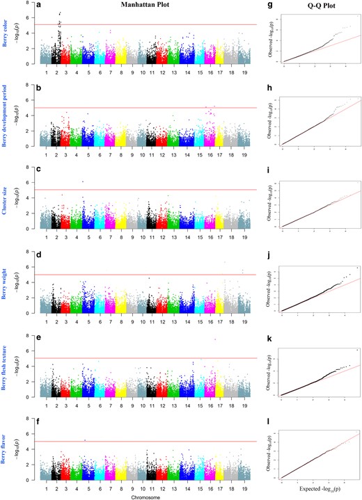 The red horizontal line depicts the significance threshold (−log10 P = 5)