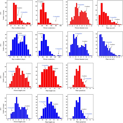 Arrows indicate the mean phenotypic value of P. integrifolia or P. axillaris for each trait in respective years