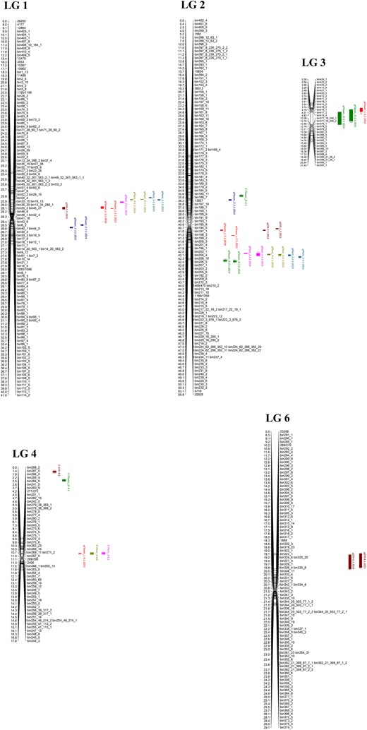 Markers and their corresponding genetic distances are shown on the right side and left side of linkage groups, respectively. QTL represented by colour bars are on the right of the linkage groups