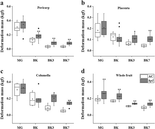 Deformation mass of AC and hp1 fruits measured on pericarp (a), placenta (b), columella (c), and intact fruit (d), respectively. *0.01 < P < 0.05, **P < 0.01