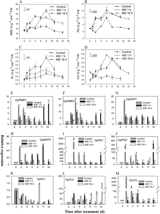 a–d Cell wall-degrading enzyme activities after 1-MCP treatment. a polygalacturonase (PG); b cellulose (CX); c pectin methylesterase (PME); and d polygalacturonic acid (PL). e–p Expression patterns of cell wall-degrading genes after 1-MCP treatment as indicated by RT-qPCR. Expression analysis of CpPME1, 2, 3, and 4e–h; CpPG1 and 2i, j; CpEXP1 and 2k, l; CpPL1 and 2m, n; CpGALo, and CpXYLp as conducted by RT-qPCR. The control group only shows the data after 6 days of treatment. The expression data at different time points are relative to that of 0 d (untreated fruits), which was set at 1. The data are the means ± SD of three biological replicates. Different letters between treatments indicate significant differences at the 5% level by one-way ANOVA. The LSD at P = 0.05 was calculated to compare the differences between the means of different treatments
