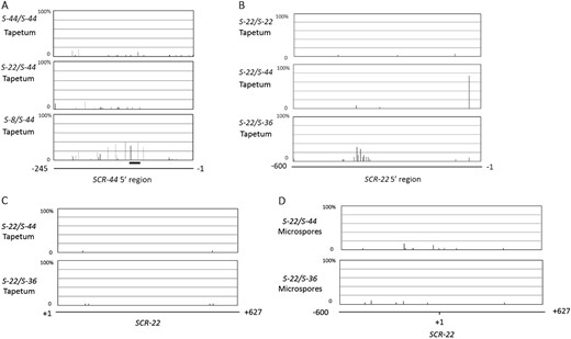 Percentages of methylation at all cytosine residues in the SCR-44 promoter (nucleotides –254 to –1) (a) and SCR-22 promoter (nucleotides –600 to –1) (b) are shown in the histograms. c The DNA methylation state of the SCR-22 gene in the tapetum. d The DNA methylation state of the SCR-22 promoter and coding region in microspores. The results are from at least 30 cloned sequences. The thick line under the DNA methylation profile indicates the region homologous to Smi