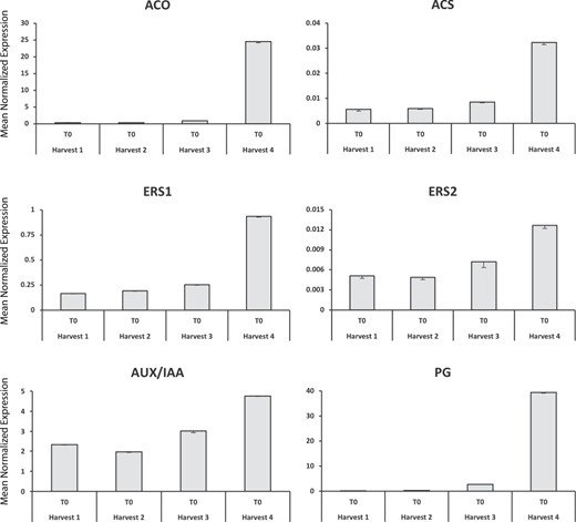 For each gene, the y-axis indicates the mean normalized expression, while the x-axis points to the four samples employed in this study. Bars indicate the standard error