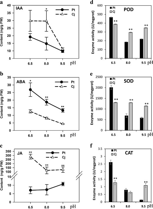 a–c and antioxidants d–f in the roots of Cj and Pt under different pH conditions. A single asterisk (*) represents statistically significant differences (P < 0.05), and double asterisks (**) represent highly statistically significant differences (P < 0.01), analyzed using Student's t-test