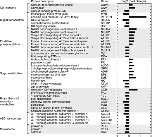 The log2 relative expression levels of 43 overlapped differentially expressed proteins from KEGG and GO analysis. GO, gene ontology; KEGG, Kyoto encyclopedia of genes and genomes