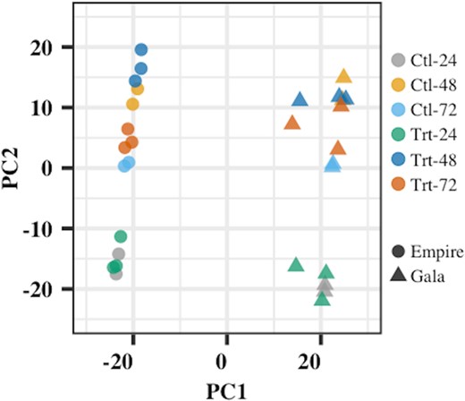 Ctl-24 = Control 24 hpi, Ctl-48 = Control 48 hpi, Ctl-72 = Control 72 hpi, Trt-24 = Treatment 24 hpi, Trt-48 = Treatment 48 hpi, Trt-72 = Treatment 72 hpi. hpi hours post inoculation