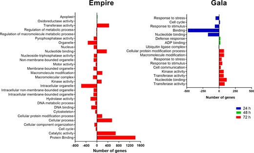 Summary of gene ontology (GO) enrichment analysis of differentially expressed genes after fire blight infection in apple cultivars ‘Empire’ (a) and ‘Gala’ (b) after 24, 48, and 72 hpi. hpi hours post inoculation