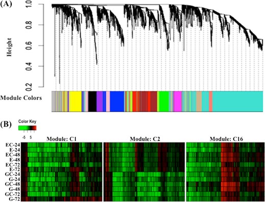 a Gene co-expression modules identified from differentially expressed genes between ‘Empire’ and ‘Gala’ after fire blight infection using. b Gene expression patterns in three co-expression modules that specifically showed enrichment for defense response and response to biotic stimuli