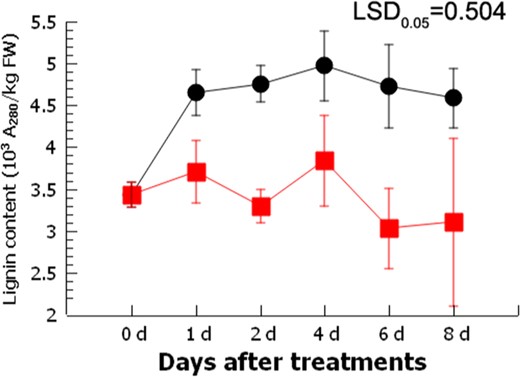 Error bars indicate S.E. from three replicates. LSD value represents the least significant difference at 0.05