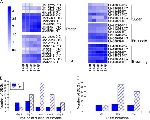 a Gene expression heat map of LEA genes and filtered fruit-quality-related genes under low-temperature conditioning (LTC), heat treatment (HT), and 0 °C. b Numbers of differentially expressed LEA genes under LTC or HT at different time points compared to 0 °C. c Numbers of differentially expressed plant-hormone-related genes under LTC or HT compared to 0 °C