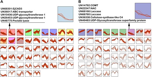 Expression profile clustering of genes differentially expressed under low-temperature conditioning (LTC; a) or high temperature (HT; b) compared to 0 °C. Clusters with colored backgrounds have a statistically significant number of differentially expressed genes assigned vs. the number expected. The black line in each box is the extracted expression pattern for each cluster. Genes in the same group with EjCAD3 under LTC and COMT under HT, which were also identified by the gene ontology annotation analysis, are listed