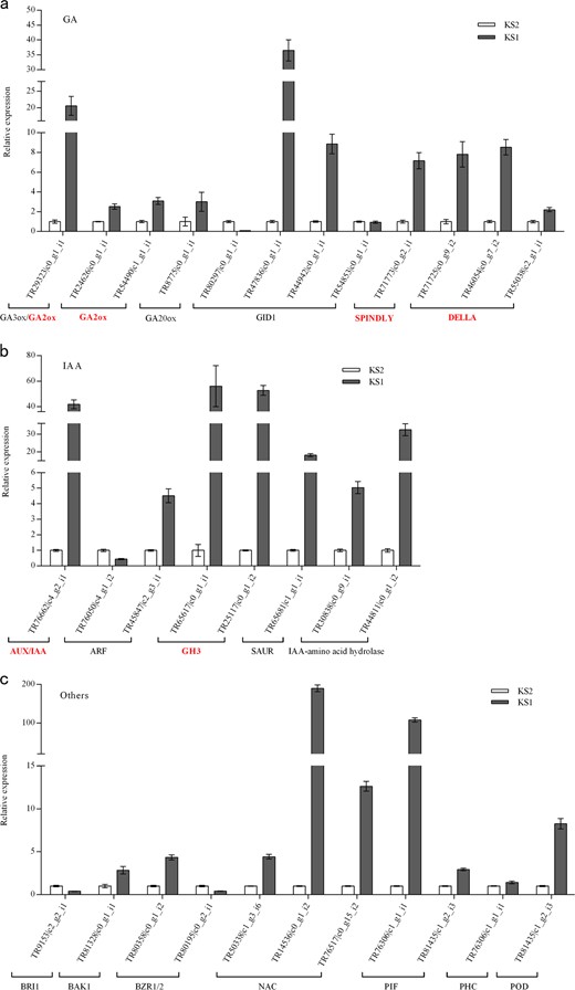 a Unigenes related to gibberellin (GA) metabolism and signal transduction. b Unigenes related to auxin (IAA) signaling. c Unigenes related to brassinosteroid (BR), NAC transcription factor, phytochrome-interacting factor (PIF), phenol-containing compound (PHC) and peroxidase (POD). Error bars indicate the standard error of three biological replicates. Note: double asterisk (**) values are significantly different (P < 0.01)