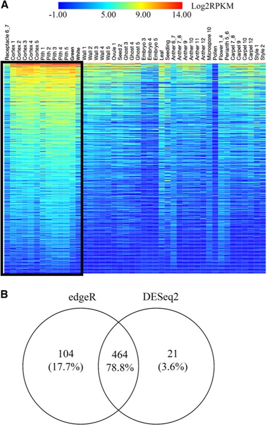 a Heatmap showing expression profiles of 589 RP genes across all profiled tissues and stages of development (see Table S1 for description of each tissue). Each row represents one gene and each column represents a specific tissue. Receptacle tissues are outlined by the black box. Warmer colors denote higher expression. Log2 transformed reads per kilobase million (RPKM) values were used as input to generate the heatmap. RPKM values from the two biological replicates of each library were averaged. b Venn diagram indicating numbers of differentially expressed genes identified by the edgeR and DESeq2 packages