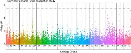The coloured dots represent −log10(p) scores for the analysis, while the black dashed horizontal line represents the significance threshold 5.5 (FDR BH p = 0.05). A region on linkage group 7A is significantly associated with resistance to Phytophthora cactorum