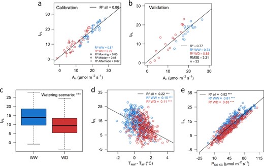 a, b The calibration was obtained by measuring net photosynthesis and fluorescence on 48 trees in a one-day measurement during summer 2017. Calibration model was built using 2/3 of the data (n = 93, a), and model was then validated on the other 1/3 of the data (n = 33, b). Data collected at three measurement period (morning, midday, afternoon) are identified with different symbols. In a and b, calibration and validation are presented for one of the two IRGA devices used (see Supplementary Fig. S4 for the second one). c Boxplot representation of the IPL measured at high-throughput on the whole core-collection (n = 800 trees). The significance of the watering scenario was assessed with a one-way ANOVA. *** significant at p < 0.001. d, e Correlations between the IPL and its two components, Tleaf – Tair (d) and PKO/KC (e) on the whole core-collection. Blue and red points represent trees subjected to well-watered (WW) or water deficit (WD) conditions, respectively. Coefficients of determination and their significances were computed considering either the whole dataset (all), or within each watering scenario independently (WW or WD). Root mean square errors were estimated to assess the consistency of correlations between An and IPL