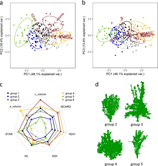 a, b Projections of individuals and variables on the three first axes of the principal component (PC) analysis. Groups represent the six groups identified using a Hierarchical Ascendant Classification. c Radar plot of the mean trait values computed using scale variables for the six groups. d T-LiDAR point clouds of 4 trees representative of groups 2, 3, 4 and 5