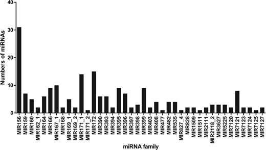 Number of identified miRNAs in known miRNA families