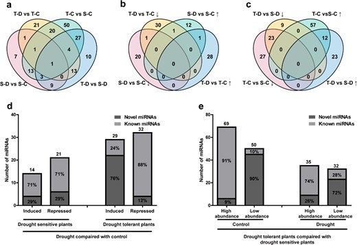 a Distribution of miRNA differences among the four comparison groups. b Differentially expressed miRNAs induced or repressed by drought. c Differentially expressed miRNAs in drought-tolerant vs. drought-sensitive plants. d Drought-induced or -repressed novel and known miRNAs in both phenotypes. e High abundant or low abundant miRNAs in drought-tolerant plants under drought treatment or control conditions compared with drought-sensitive plants. S-C: drought-sensitive plants under control conditions; S-D: drought-sensitive plants under drought treatment; T-C: drought-tolerant plants under control; T-D: drought-tolerant plants under drought treatment. Upward arrows indicate upregulation or higher abundance and downward arrows indicate downregulation or lower abundance