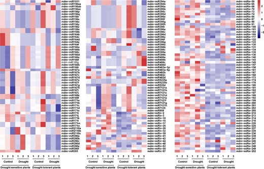 Up- and downregulated genes are indicated in red and blue, respectively. Color brightness reflects the magnitude of difference. The numbers 1, 2, and 3 indicate three biological replicates