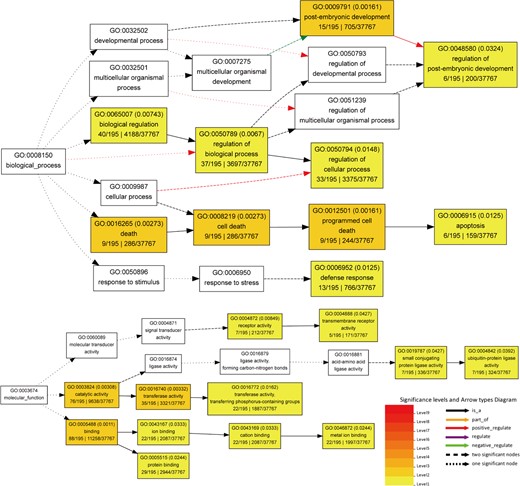 Target genes of 67 differentially expressed miRNAs in the drought-tolerant plants compared with the drought-sensitive plants under drought were used in agriGO analysis. Significant terms are indicated in red, with darker shades reflecting greater significance