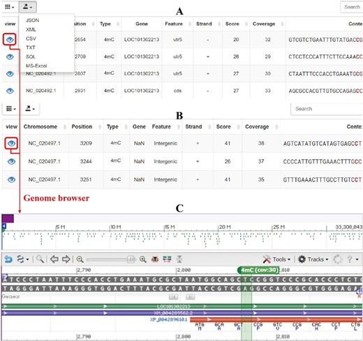 (a) Output of query by gene, (b) output of query by genomic region, (c) visualization of methylation sites in genome browser