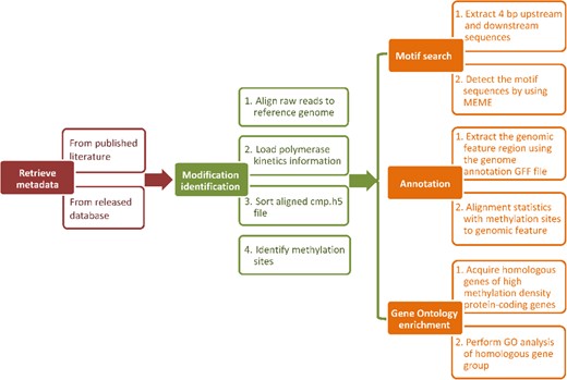 Analysis pipeline in MDR