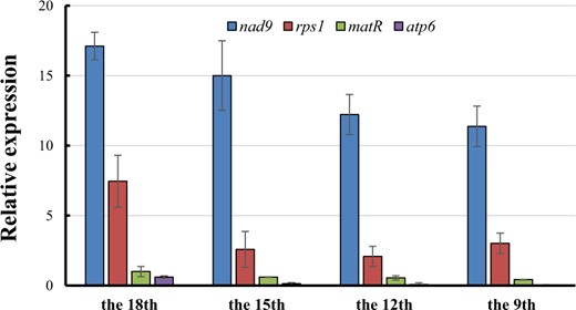 The relative amounts of transcripts of four mitochondrial genes, nad9, rps1, matR, and atp6, were measured via quantitative real-time RT-PCR. The relative transcript levels of the nuclear-encoded housekeeping gene Actin were used to normalize the qPCR output