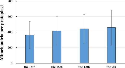 Number of mitochondria per cell at the four stages of melon leaf development