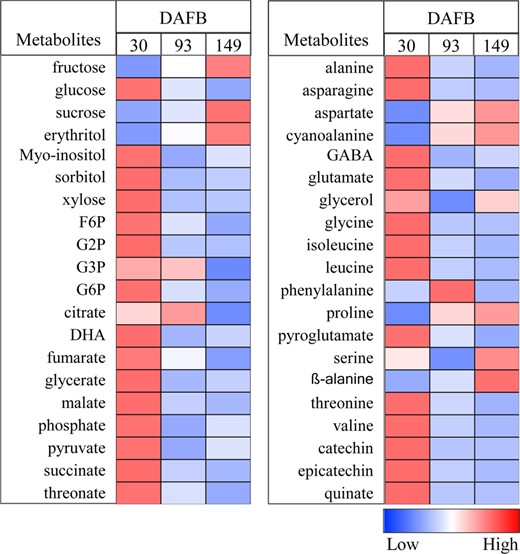 The fruit was harvested at three growth stages: 30, 93, and 149 days after full bloom. The colors were generated from GC-MS metabolite profiling raw data (relative value) after mean center and scale transformation into comparable levels. The light blue color denotes a lower concentration of metabolites, whereas the deep red color denotes a higher concentration of metabolites. Values are means ± SE (n = 3). Heat maps were generated using the MultiExperiment Viewer software (MeV v4.9.0, http://www.tm4.org/)32. DHA dehydroascorbate, F6P fructose 6-phosphate, G2P glucose 2-phosphate, G3P glucose 3-phosphate, G6P glucose 6-phosphate, GABA γ-aminobutyrate