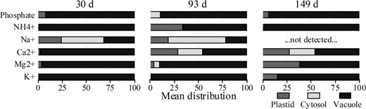 Ion levels are expressed as percentage. The different subcellular compartments are indicated by the gray (plastid), light gray (cytosol), and black (vacuole) colored bars