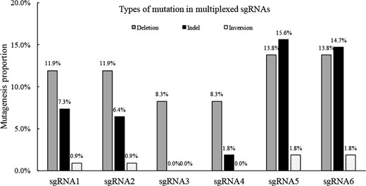 The editing efficiencies of different mutation types were determined by DNA sequencing in T1 plants