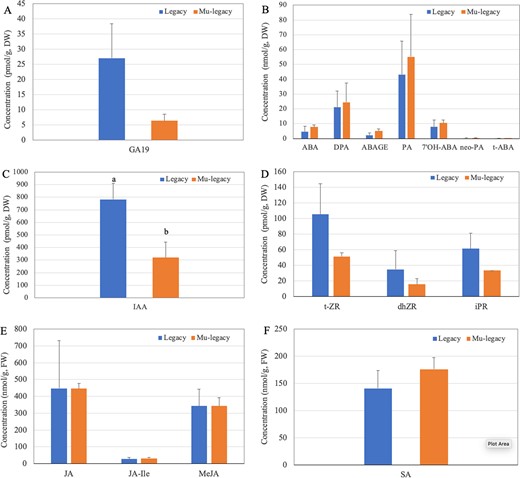 a Gibberellin. b ABA and ABA metabolites. c Auxin. d Cytokinin and cytokinin metabolites. e JA and JA metabolites. f Salicylic acid. DW: dry weight. FW: fresh weight. Different letters represent a significant difference at P < 0.05 between ‘Legacy’ and Mu-legacy leaves. The bars without letters represent no significant differences at P < 0.05. GA19: Gibberellin 19. ABA: cis-Abscisic acid. DPA: dihydrophaseic acid. ABAGE: Abscisic acid glucose ester. PA: Phaseic acid. 7′OH-ABA: 7′-Hydroxy-abscisic acid. neo-PA: neo-Phaseic acid. t-ABA: trans-Abscisic acid. IAA: Indole-3-acetic acid. t-ZR: (trans) Zeatin riboside. dhZR: Dihydrozeatin riboside. IPR: Isopentenyladenosine. MeJA: Methyl jasmonate, JA-Ile: jasmonoyl isoleucine