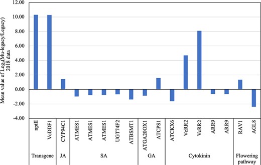 Differentially expressed transcripts (DETs) (PDR < 0.05) of the hormone and flowering genes identified from the comparison of leaf tissues of Mu-legacy and ‘Legacy’ plants in the current study (2018)