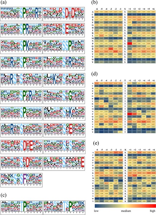 (a, c): Graphical representation of the amino acid environment of the identified motifs. pS phosphorylated serine, pT phosphorylated threonine, Kac acetylated Lys. Upper scales of panels (b), (d) and (e): the position of the amino acids around the phosphosites (pSs, pTs) and acetyl sites (Kacs). Lateral scales of panels (b), (d) and (e): abbreviations of the twenty amino acids