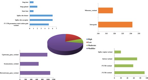 Impact of SNPs in the functionality of the genes predicted using the SnpEff tool
