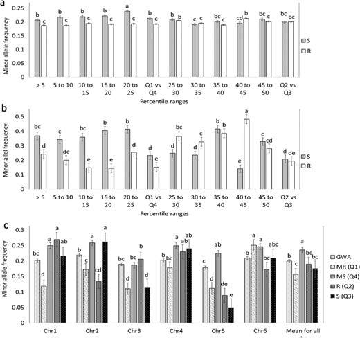 Each bar represents the mean MAF proportion of ten individuals from the tail with a WR-DSR score less than the mean and greater than the mean. The ten individuals were randomly drawn from each of the percentile segments shown. a Mean MAF for all the 4871 SNPs. b Mean MAF of polymorphisms with a significant association with WR. c MAF per chromosome. GWA minor allele frequencies are shown against those mapped using the basic allelic association tests. Standard error bars are shown. Q quartile, MR most resistant, MS most susceptible, R resistant with reference to the mean WR-DSR, S susceptible with reference to the mean WR-DSR.
