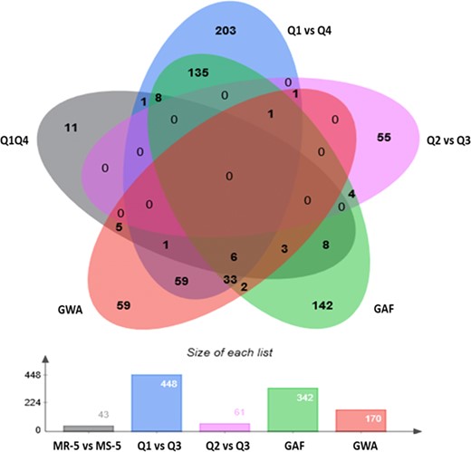 Allelic tests using accessions in the most resistant and most susceptible 5% tails (MR-5 and MS-5, respectively), quartiles Q1 and Q4 (Q1 vs. Q4), and quartiles Q2 and Q3 (Q2 vs. Q3) of the WR-DSR scores across the population; basic genotypic association using a full model (GAF); and the population structure-corrected GWA analysis.