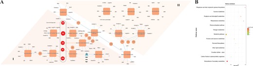 a Integrative analysis of the metabolome and transcriptome. b KEGG pathway enrichment analysis of metabolism-related genes.