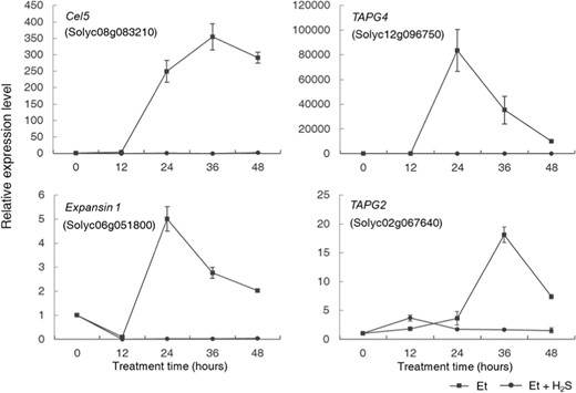 Changes in the expression levels of Cel5, TAPG4, Expansin1, and TAPG2 in AZ tissues were monitored during petiole abscission under both ethylene (square) and ethylene–hydrogen sulfide (H2S) (circle) treatments with 12-h intervals. Data are presented as the mean ± SE (n = 3). The SAND gene was used as an internal control.